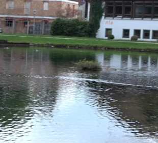 Untere Mühle