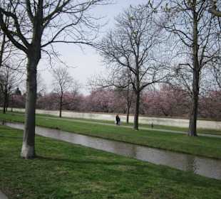 Schlossgarten Schwetzingen