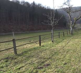 Wasserfallsteig