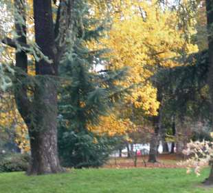 Parco Sempione