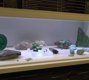 Museum für Naturkunde