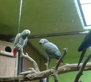Zoo brno