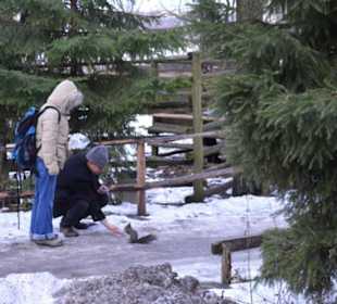 Freilichtmuseum Skansen