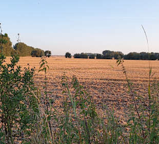 Wandern Diedrichshagen