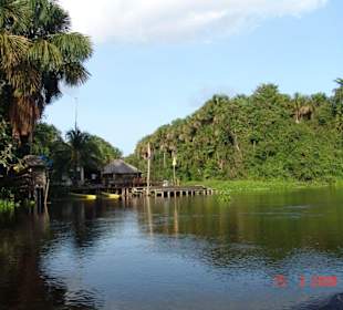 Unser herrlich gelegenes Dschungelcamp