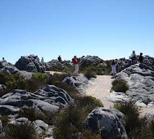 Wanderung auf denTafelberg