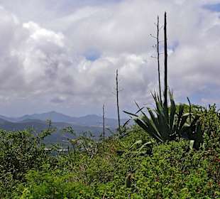 Isla Margarita