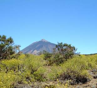 Landschaft um den Teide