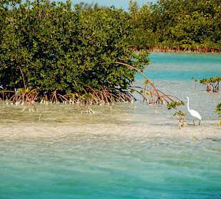 Jednodniowa wycieczka Cayo Largo 