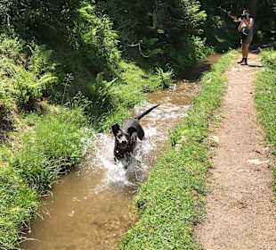 Wanderung Passeiertal	