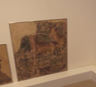 Museum für Vor- und Frühgeschichte