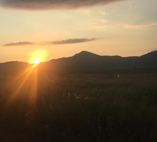 Pilanesberg Nationalpark