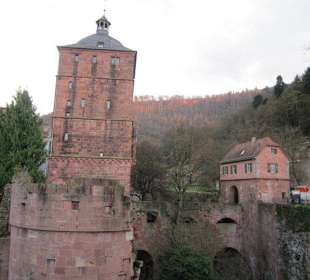 Schloss Heidelberg 