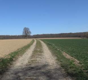 Geschichtlicher Lehrpfad Einsiedel