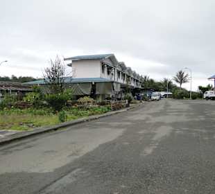 Wildlife Expeditions