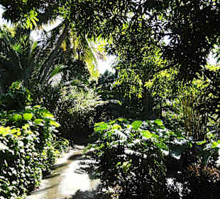 Impressionen aus dem Jardin Botanique de Deshaies