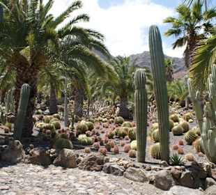 Kakteenpark