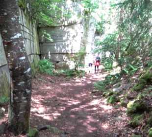 Wanderweg Märchensee Runde