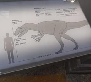 Museum für Naturkunde