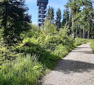 Aussichtsturm Lichtenberg