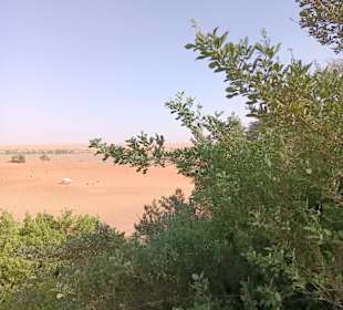 Al Wadi Desert