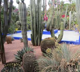 Eindrücke aus dem Jardin Majorelle Garten