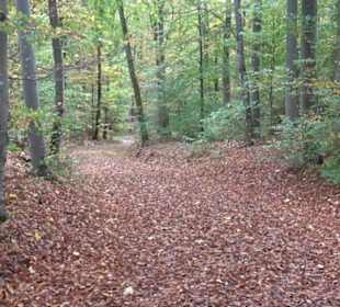 Wandertour "Rund um den Rossberg" Öschingen