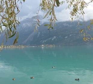 Brienzer See