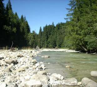 Ammer bei Scheibum