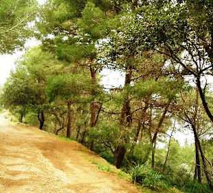 Weg zum Wachturm über Puerto Soller