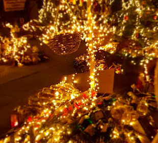 Fredenbaumpark Mittelalterlicher Weihnachtsmarkt