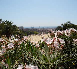 Parc Guell