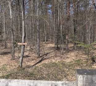 Waldkulturerbe Neuweiler Viehweide