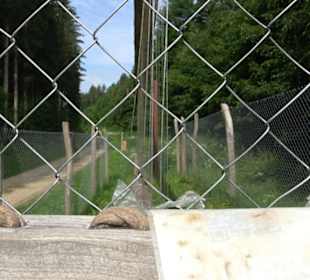 Phäno-Pfad Aichstetten