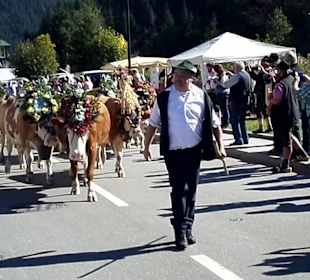 Almabtrieb in Gerlos