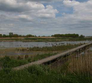 Abstecher über Boardwalk