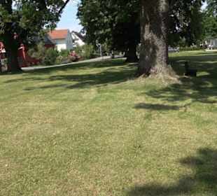 Fürstengrab Dußlingen