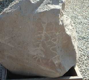 Petroglyph im Freigelände