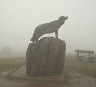 Tiergruppe beim Fichtelberghotel