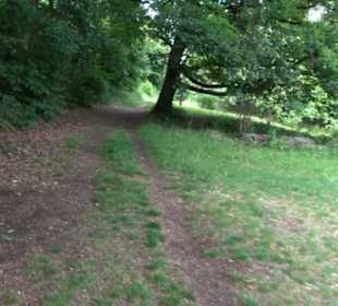 Wanderweg - Alter Steinbruch Pfaffenberg Runde