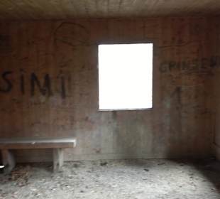 Wellingtonien - Platz mit Mammutbäumen