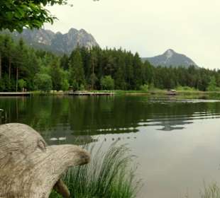 Blick auf den stillen See