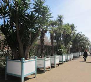 Schlossgarten Schwetzingen