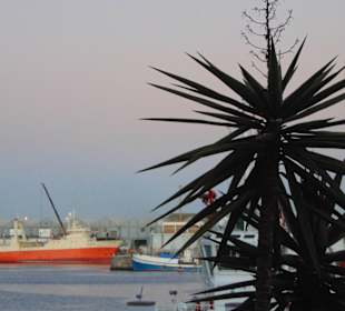 Alfred & Victoria Waterfront