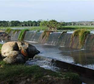 Im Yala Park - Geführte Touren Astrid Tours Sri Lanka