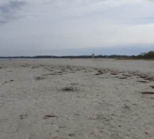 Im Mai 2022 am Strand von Priwall