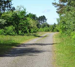 Wege durch die Cuxhavener Küstenheiden