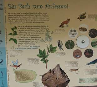 Naturerlebnispfad Klingenbach Steinenbronn