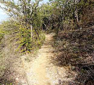 Eindrücke vom Rundgang über den Trail