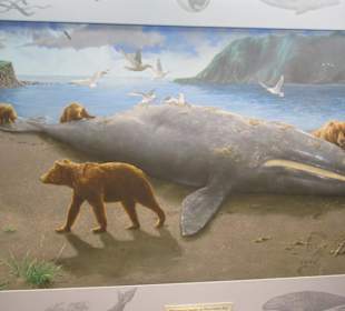 Im Wildlife Center